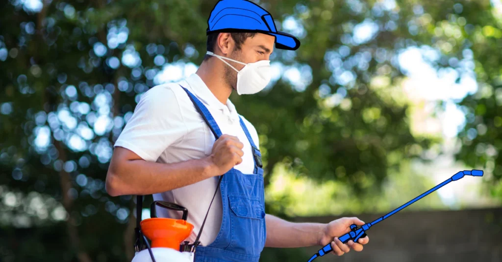 pest control termite