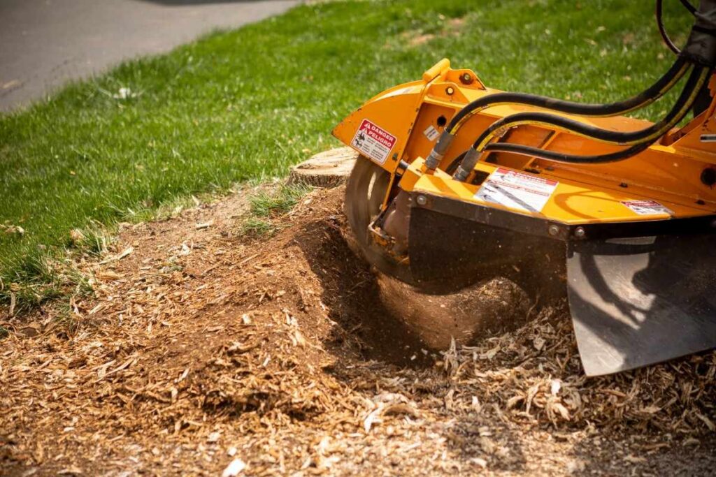 stump grinding near me