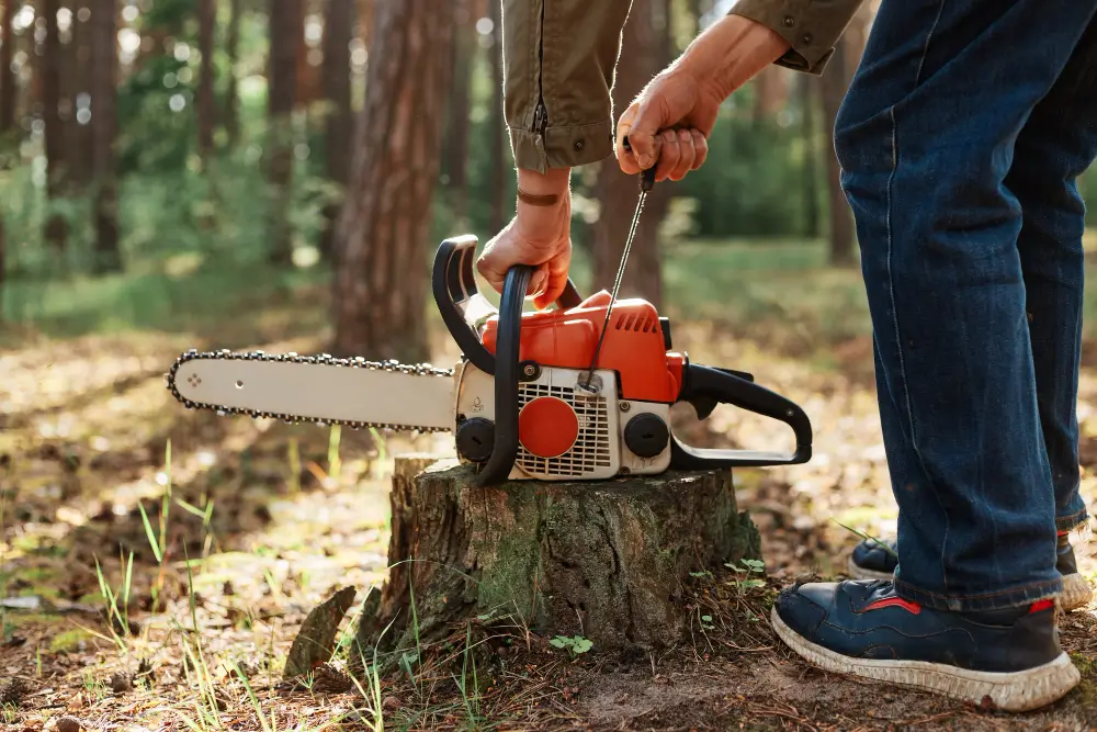 tree service cost to remove tree