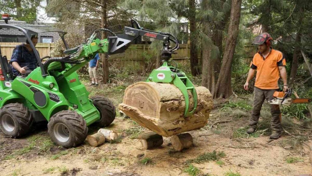 stump grinding sydney