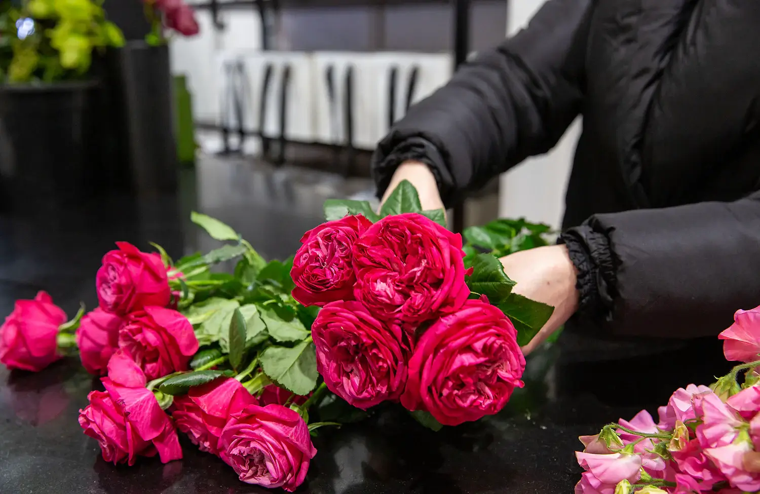 north sydney florist